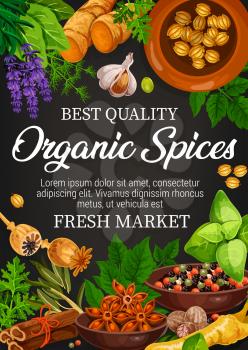 Organic spices, farm market store of seasonings. Vector lavender and ginger, garlic and poppy, basil and pepper mix, mint and cinnamon. Condiments and flavorings for cooking