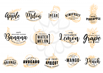 Tropical fruits icons with letterings. Apple and melon, pear and kiwi, pineapple and banana, watermelon and lemon, grape and orange. Avocado and apricot, mango and peach, organic food vector