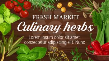 Herbs for culinary from market banner with seasonings for dressing. Cherry tomatoes and rosemary, gooseberry and thyme, salad and chili pepper, mint and dill. Basil and bay leaves for cooking vector