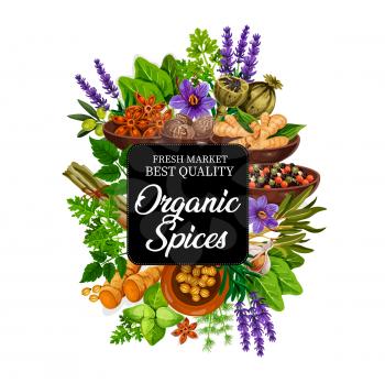 Spice of natural organic plants and herbs or seeds. Lavender and basil, poppy and ginger, nutmeg and anise, olive and pepper mix. Rosemary and garlic, dill and parsley, mint and saffron vector