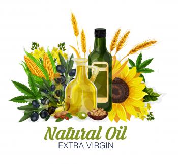 Sunflower, rapeseed, extra virgin olive oils. Bottles with corn and wheat vegetable oil, peanut and hemp ingredients of healthy vegetarian food. Containers with cooking fat product, plants isolated