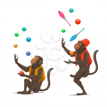 Trained circus monkey juggling balls or clubs vector isolated. Ape juggler gives performance in circus. Entertainment show at carnival with cute animal in costume concentrated on juggle maces