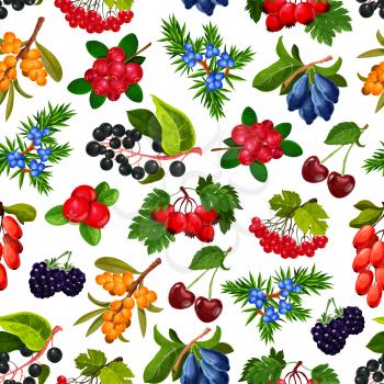 Berries seamless pattern vector. Endless texture of ripe cherry and bilberry, rosehip and dogrose, buckthorn and cranberry, juniper and rowanberry. Background ripe summer berries isolated vector