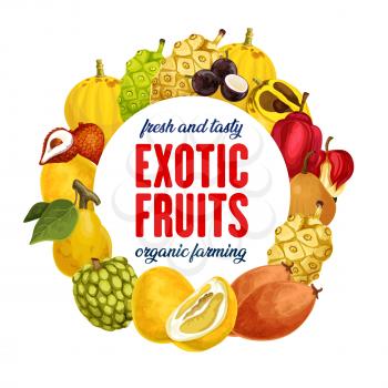 Fruits of exotic origin icon for food store and Asian market. Cherimoya and mangosteen, quince and litchi, pomelo and sapodilla. Sugar apple and ackee, noni and canistel, caimito and marula vector