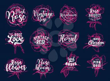 Lettering and roses icons for flower shop and bouquet studio. Floral store or rosarium badges with buds of pink petals and leaves silhouettes. Female beauty salon or boutique symbols with signs vector