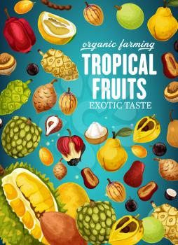 Fruits of tropical origin poster for natural organic food. Durian and cherimoya, mangosteen and litchi, sapodilla and sugar apple, quince and ackee. Canistel and ciamito, marula and canistel vector