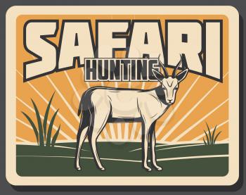 Safari hunting vintage banner with african animal. Wild impala antelope or gazelle mammal animal retro poster with african savanna landscape on background for safari tour and hunting sport design