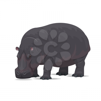 Hippopotamus animal icon. Vector isolated zoology flat design of African wild hippo for wildlife fauna and nature zoo or open season safari hunting club or sport team badge