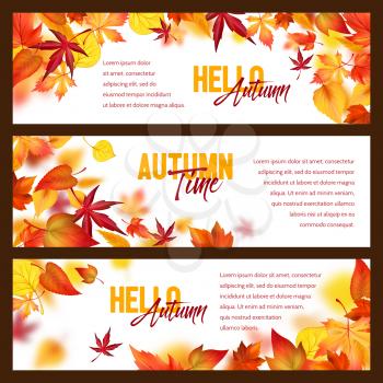 Hello Autumn banners of falling leaves and fall foliage. Vector set of maple, oak or poplar and birch tree or chestnut leaf, beech or elm and aspen leaves for autumn seasonal greeting card design