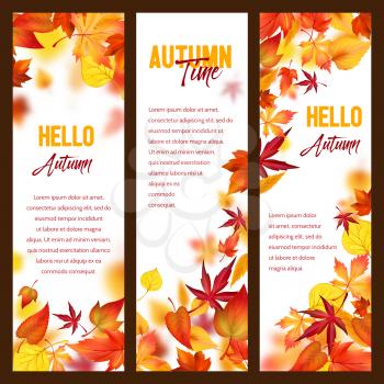 Hello Autumn banners of maple, oak or chestnut and rowan leaf foliage or fall falling leaves. Vector set of poplar, birch or elm and aspen tree background for for autumn seasonal holiday design