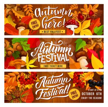 Autumn harvest festival banner with fall season floral border. Fallen leaf, orange maple and oak foliage, forest acorn and mushroom, pinecone and briar on wooden background for invitation flyer design