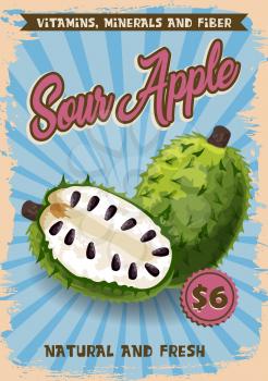 Soursop apple exotic fruit vector price or advertisement poster. Vector design of graviola, guyabano or guanabana. Tropical fruits store or farmer market