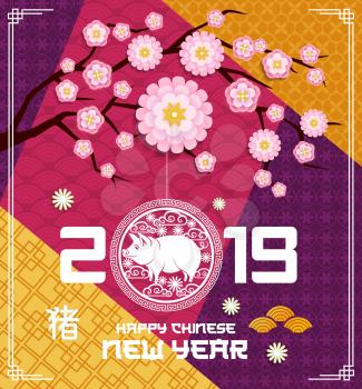 Happy Chinese New Year greeting card, pig and traditional decoration pattern ornament. Vector trend design for lunar Year of golden pig, sakura or cherry blossom flower and hieroglyphs