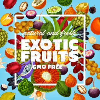 Exotic fruit, healthy food, GMO free products. Vector soursop and sugar apple, noni and marang, Buddhas hand and tangelo. Longkong and quince, peppino and persimmon, akebia and pandanus, jabuticaba
