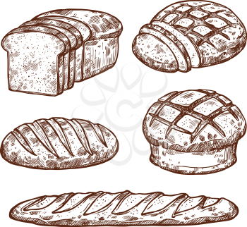 Bread sketch icons for bakery shop. Vector isolated set of wheat bagel or rye bun and croissant, baked fresh loaf pie or pastry baguette sliced and whole cereals for breakfast or baker recipe design