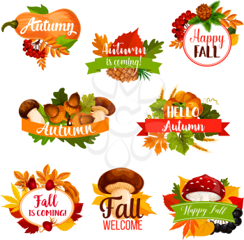 Hello Autumn or Fall is coming icon with seasonal greeting quotes. Vector set of pumpkin or rowan berry harvest and forest mushroom, autumn falling leaves of oak, maple or aspen and elm tree