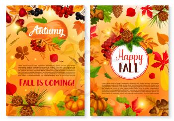 Autumn and Happy Fall is coming poster or seasonal greeting card templates set. Maple leaf, oak acorn and rowan berry or pumpkin harvest, pine and fir tree cone on autumn falling leaves vector design