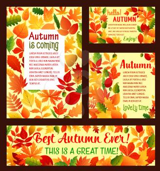Hello Autumn posters and banners template for Fall is coming greeting card or seasonal sale design. Vector autumn falling leaves foliage of maple leaf, oak acorn or elm and polar or aspen tree