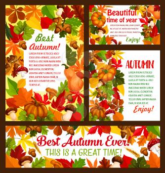Autumn time posters and banners of falling leaves, pumpkin and mushroom harvest or rowan berry. Vector best fall design of maple leaf, oak acorn and autumn for or pine tree cones for seasonal wishes