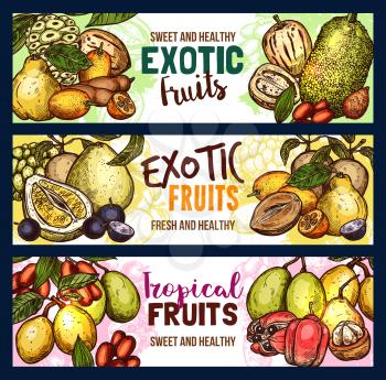 Exotic fruits sketch banners of fresh durian, kuruba or tamarillo and granadilla. Vector design of tropical pitaya dragon fruit or passion fruit and ambarella for exotic fruit farm market