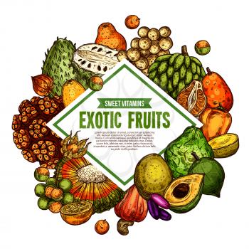 Exotic fruits sketch poster. Vector tropical fruit harvest of pandan, bergamot or mombin and jambolan, cashew nut, physalis and bam-balan or bambangan fruit and spanish apple with tangerine naranjilla