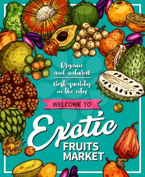 Exotic fruits sketch poster for farm market. Vector design of longkong, tropical soursop apple or mombin and pandan, bergamot fruit, lucuma or tangerine and physalis, naranjilla, and jambolan