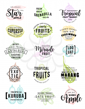 Exotic tropical fruits lettering icons for farm market. Vector calligraphy for star apple, grenadilla or cupuassu and persimmon, cantaloupe melon or miracle fruit and loquat with curuba and dates