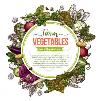Vegetable, mushroom and bean round frame with copy space in center. Fresh farm veggies sketch poster of cabbage, broccoli and zucchini, garlic, potato and asparagus, beet, radish, eggplant and pea pod