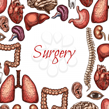 Surgery poster with human organ, bone and body parts sketch. Lungs, liver and heart, brain, kidney and stomach, spine, eye and ear, tooth and intestine for medicine, healthcare and science design
