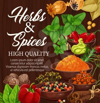 Herbs and spices on wooden background, food condiments and seasonings. Vector chili pepper and cinnamon, basil, star anise and nutmeg, thyme, rosemary and paprika, bay leaf, turmeric powder, dill