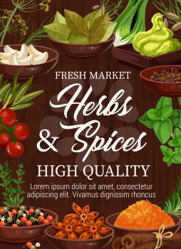 Spices and herbs market, seasonings and cooking flavorings. Vector garlic, bay or sage leaf and wasabi with celery, leek and anise star, pepper or turmeric, saffron and curry