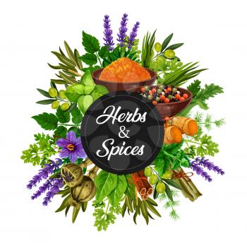 Spices and herbs organic seasonings and cooking flavorings bunch. Vector olives, chicory and lavender, vanilla and cinnamon, lemongrass or ginger, leek and pepper with turmeric or curry in bowl
