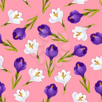 Crocus flowers pattern . Vector seamless design of white and pink purple floral ornament with blooming crocuses buds and leaves, wedding or love romance embellishment