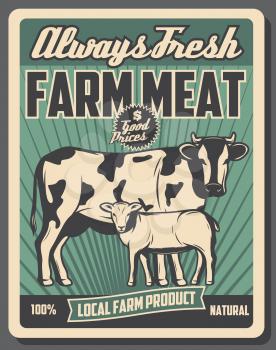 Farm market retro poster, butcher meat products from cattle farm. Vector vintage design, cow and sheep lamb animals. Agriculture and farming theme