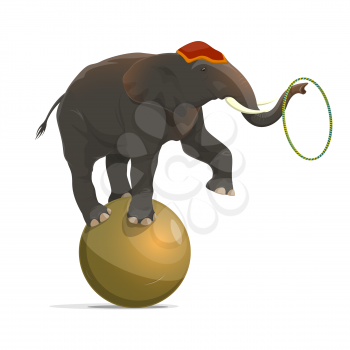 Circus elephant balancing on ball and juggling hoop on trunk with raised leg. Vector isolated circus animal equilibrist performance
