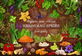 Cooking spices seasonings and culinary herbs flavorings. Vector organic natural onion, tomato or bay leaf, turmeric curry or parsley and dill, spinach and celery or garlic with pepper and horseradish
