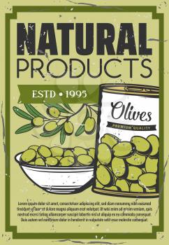 Pickled olives in can, natural organic food snack vintage poster. Vector green olive pickles product in bowl plate, salad and cooking ingredients