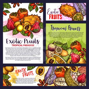 Exotic fruits poster tropical paradise sketches edible delicatessen fruits vector. Brochures design with mammee apple and maryla, kiwano and loquat, granadilla and kuruba, apple cashew and bam balan