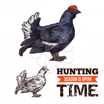 Hunting season open poster with capercaillie bird sketch. Time to hunt, turkey like grouse and hunting period start. Wild animal shooting sport promo with dark feathered fat bird capercailzie vector