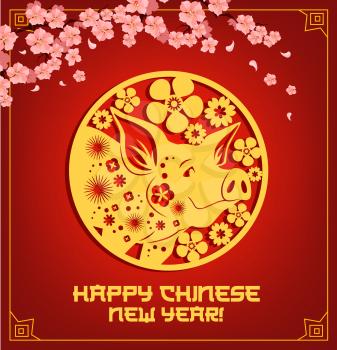 Chinese New Year zodiac animal symbol of golden Pig greeting card. Asian lunar calendar piggy festive poster in golden frame of oriental ornament with cherry blossom branch for spring festival design