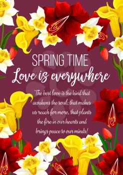 Springtime flowers and wish greeting card. Vector Love is in the Air quote poster of floral design with blooming hibiscus roses, callas and tulips flowers and seasonal spring tulip blossoms