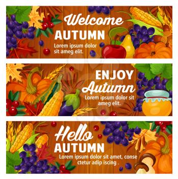 Welcome Autumn banners of seasonal pumpkin, fruit or berry and mushroom harvest in foliage. Vector maple or poplar and chestnut leaf, oak acorn or corn and grape, cherry and honey on wooden background