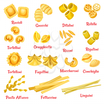 Pasta type with name poster of Italian traditional macaroni. Spaghetti pasta shape, ravioli and rigatoni, fettuccine, ditalini and linguine, conchiglie and tortellini for food packaging design