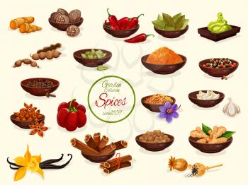 Spice, condiment and seasoning cartoon poster of food ingredient. Pepper, ginger and anise star, chili, cinnamon and vanilla, nutmeg, bay leaf and cardamom, saffron, turmeric, poppy seed and wasabi
