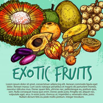 Exotic fruit sketch poster of fresh tropical berry. Physalis, longkong and jambolan, lucuma, pu hala, naranjilla and bam balan fruit banner for natural juice and dessert menu design