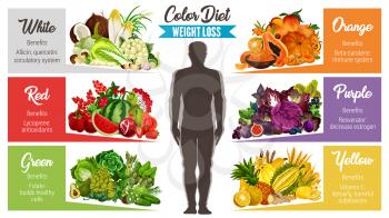 Weight loss color diet banner of fresh natural food. Vegetable, fruit and nut, mushroom, cereal and green salad leaf poster for healthy eating, dieting and vegetarian nutrition themes design