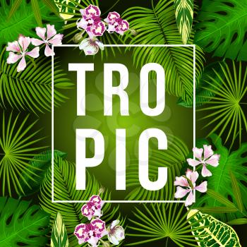 Tropical palm leaf and flower poster for summer holiday and exotic vacation design. Fan palm and monstera green foliage frame, decorated with orchid blossom for summertime season greeting card