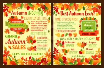 Autumn sale leaflet or Fall is coming poster of maple leaf and oak acorn for seasonal shopping discount promo 50 and 70 percent price off. Vector templates of autumn falling leaves or tree foliage