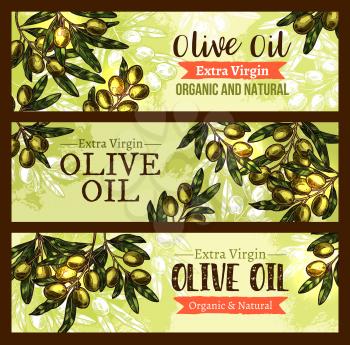 Olive oil organic extra virgin olive oil sketch banners for natural product design template. Vector green olives bunch and green leaf for extra virgin olive oil bottle package tag or information label