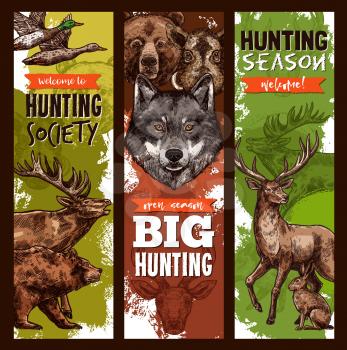 Hunt club sketch banners for hunting open season. Vector design of hunter prey wild animals forest grizzly bear, mountain wolf or fucks and deer or elk, aper hog or boar for wildlife hunting adventure